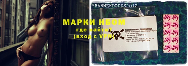 шишки Ельня