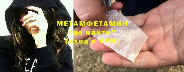 шишки Ельня