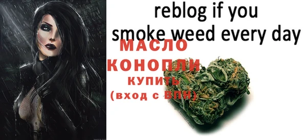 шишки Ельня