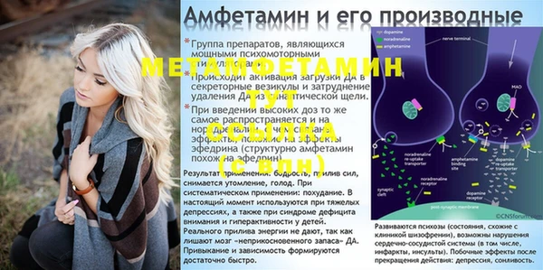 шишки Ельня