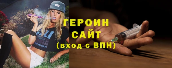 шишки Ельня