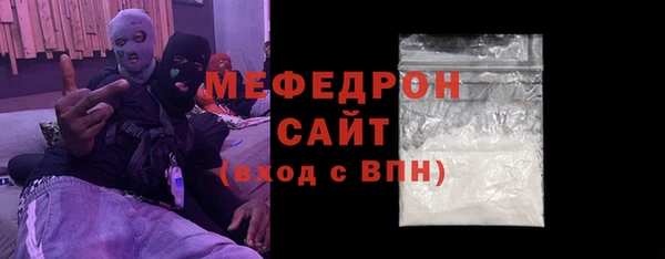шишки Ельня