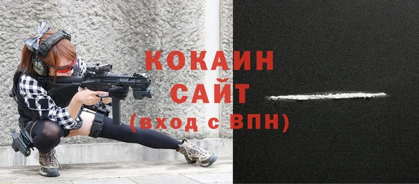 хмурый Дмитровск