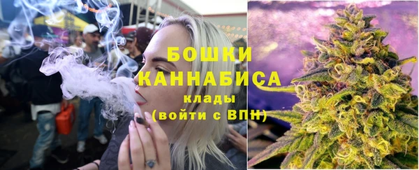 гашик Елизово
