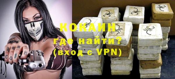 гашик Елизово