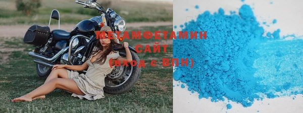 шишки Ельня