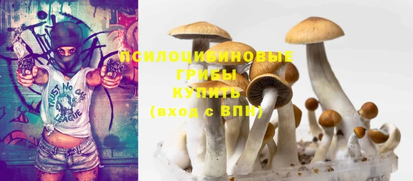 мяу мяу мука Дмитров