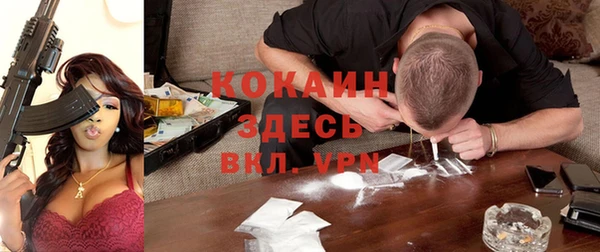 шишки Ельня