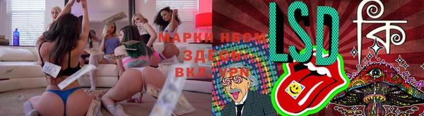 гашик Елизово