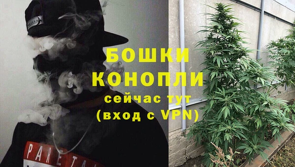 mdpv Елабуга
