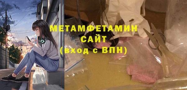 шишки Ельня