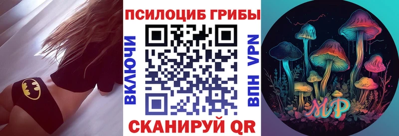 Галлюциногенные грибы мицелий  закладка  kraken онион  Светлогорск 