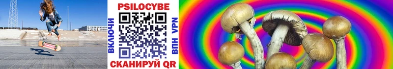 Галлюциногенные грибы Psilocybine cubensis Светлогорск
